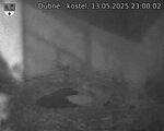 Capi_Dubne_20250513_230003.jpg