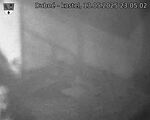 Capi_Dubne_20250513_230503.jpg