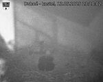 Capi_Dubne_20250513_232002.jpg