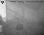 Capi_Dubne_20250513_232503.jpg