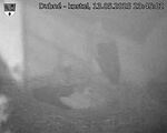 Capi_Dubne_20250513_234502.jpg
