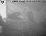 Capi_Dubne_20250514_000003.jpg