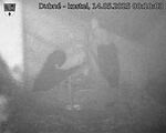 Capi_Dubne_20250514_001003.jpg