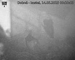 Capi_Dubne_20250514_002003.jpg
