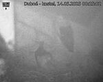 Capi_Dubne_20250514_002502.jpg