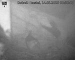 Capi_Dubne_20250514_003503.jpg