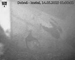 Capi_Dubne_20250514_010002.jpg