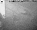 Capi_Dubne_20250514_011003.jpg