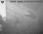Capi_Dubne_20250514_011502.jpg
