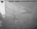 Capi_Dubne_20250514_012002.jpg