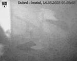 Capi_Dubne_20250514_012503.jpg
