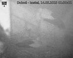 Capi_Dubne_20250514_013002.jpg