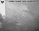 Capi_Dubne_20250514_013502.jpg