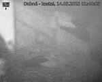 Capi_Dubne_20250514_014003.jpg