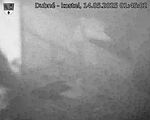 Capi_Dubne_20250514_014502.jpg