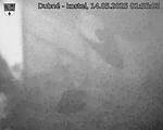 Capi_Dubne_20250514_015503.jpg