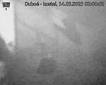Capi_Dubne_20250514_020002.jpg
