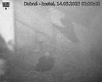 Capi_Dubne_20250514_022002.jpg