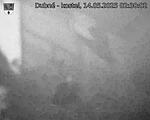 Capi_Dubne_20250514_023002.jpg