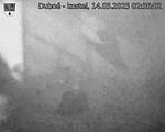Capi_Dubne_20250514_023502.jpg