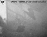 Capi_Dubne_20250514_024003.jpg