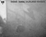 Capi_Dubne_20250514_024502.jpg