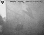 Capi_Dubne_20250514_030002.jpg