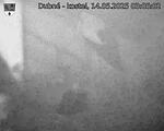 Capi_Dubne_20250514_030502.jpg
