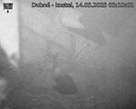 Capi_Dubne_20250514_031002.jpg