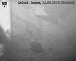 Capi_Dubne_20250514_032003.jpg