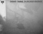 Capi_Dubne_20250514_032502.jpg