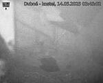 Capi_Dubne_20250514_034502.jpg