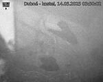 Capi_Dubne_20250514_035002.jpg