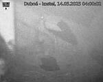 Capi_Dubne_20250514_040002.jpg