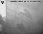 Capi_Dubne_20250514_040502.jpg