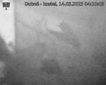 Capi_Dubne_20250514_041003.jpg