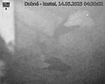 Capi_Dubne_20250514_042002.jpg