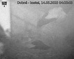 Capi_Dubne_20250514_042503.jpg