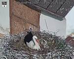 Capi_Dubne_20250514_082503.jpg