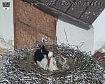 Capi_Dubne_20250514_084002.jpg