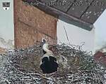 Capi_Dubne_20250514_091002.jpg