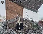 Capi_Dubne_20250514_091504.jpg
