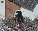 Capi_Dubne_20250514_093502.jpg