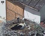 Capi_Dubne_20250514_125502.jpg