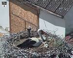 Capi_Dubne_20250514_133503.jpg