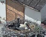 Capi_Dubne_20250514_143503.jpg