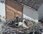 Capi_Dubne_20250514_144002.jpg