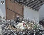 Capi_Dubne_20250514_154003.jpg