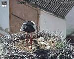 Capi_Dubne_20250514_160003.jpg