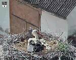 Capi_Dubne_20250514_161503.jpg